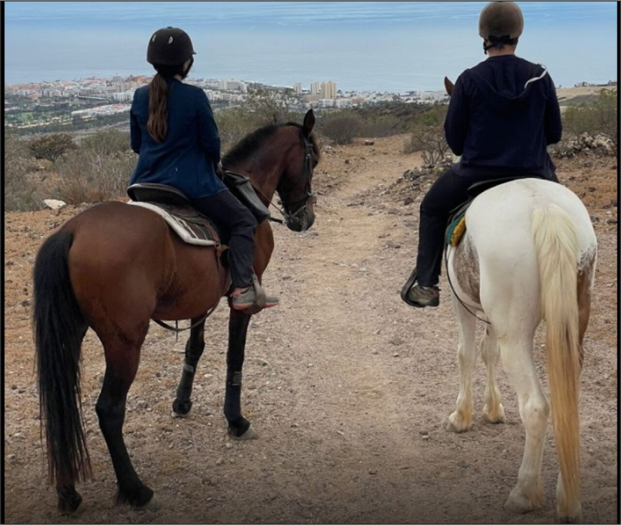 excursiones-a-caballo-tenerife-sur-canarias-anuncios-clasificados-anuncios