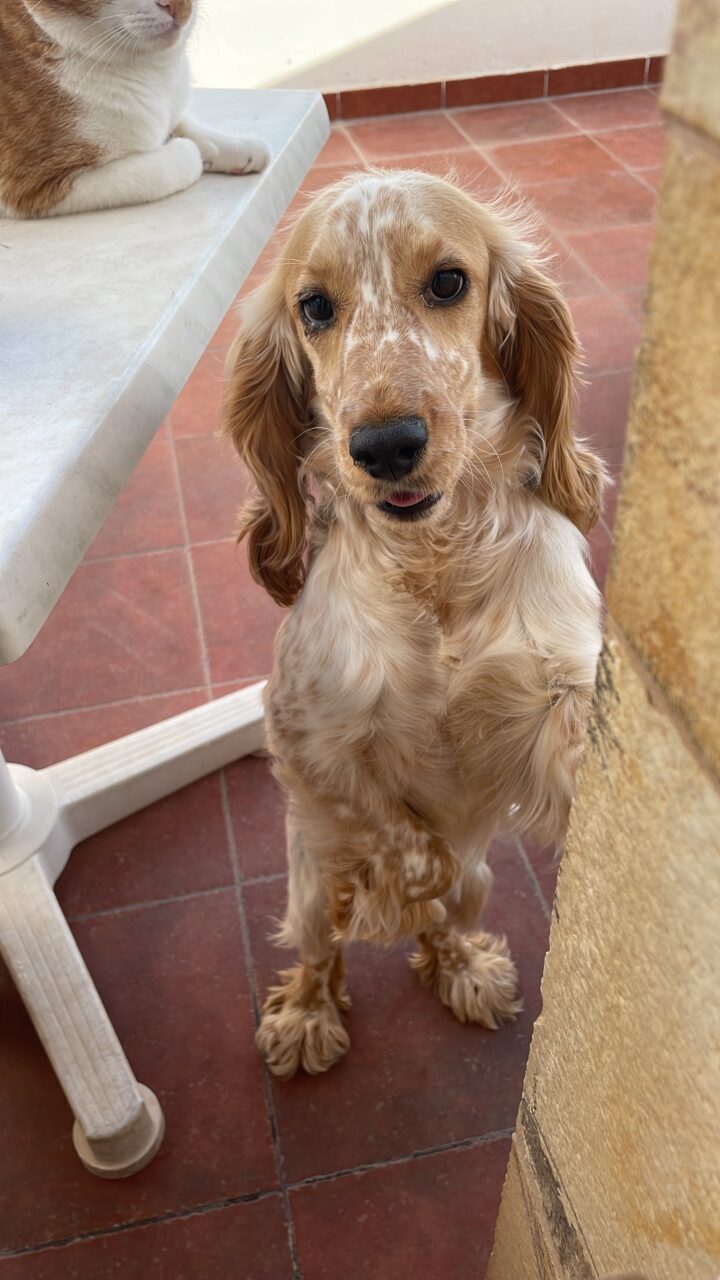 3FCF1E3E-5748-48C3-A6B4-62E4EEFCE6D9