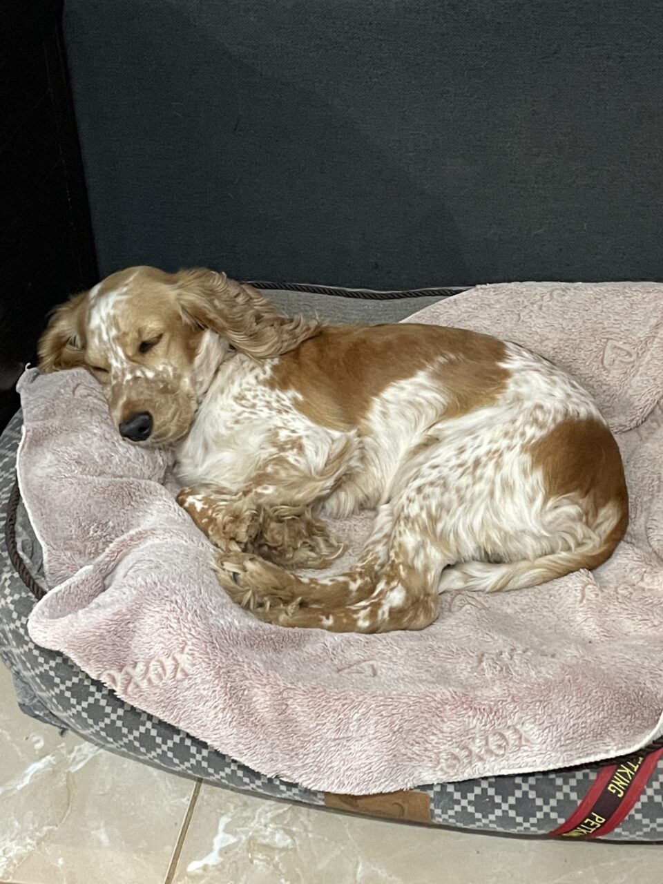 ED409A8C-5452-4760-9C33-E354DD70BE46