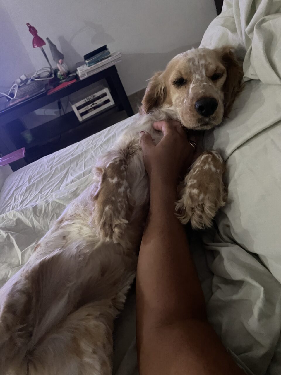 F9BE398F-5672-4370-AADE-C47AC7599344