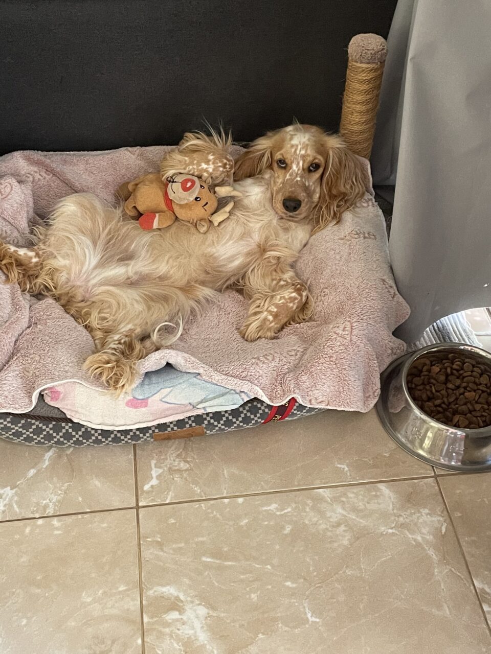 FA1E89BA-A5C4-4463-AC36-89DCA99C4452